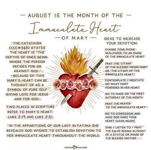 Immaculate Heart of Mary This infographic shows the meaning of Mary's Immaculate Heart and how to increase devotion to Jesus through her.